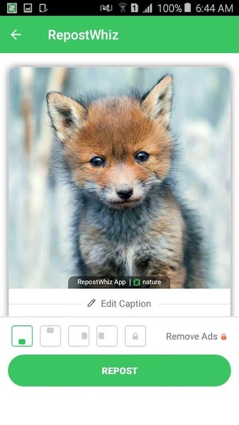 RepostWhiz - Preview 3