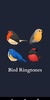 Bird Sounds and Ringtones screenshot 1