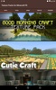 Textures for Minecraft PE screenshot 3