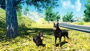 Doberman Dog Simulator screenshot 10