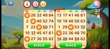 Bingo Wild screenshot 2