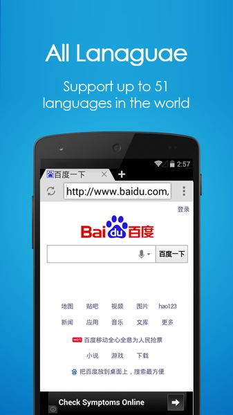 Internet Web Explorer - Preview 1