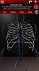 Circulatory System in 3D (Anatomy) screenshot 19