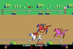 Horse Racing screenshot 12
