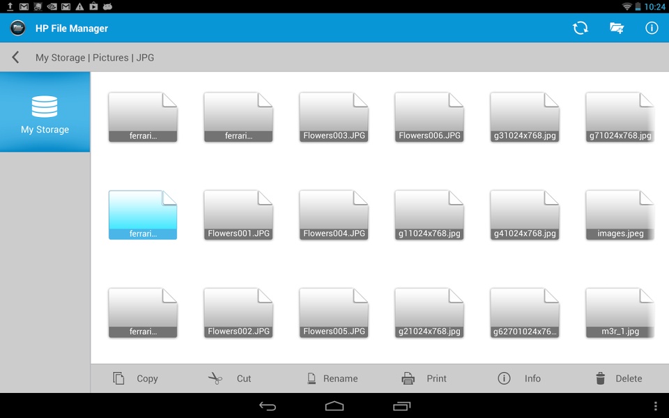 HP File Manager - Preview 2