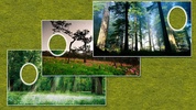 Forest photo frames screenshot 3