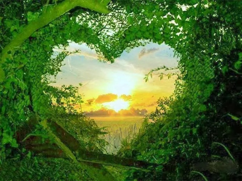 Images of Love - Nature - Preview 3