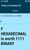 Binary to Hexadecimal converter screenshot 2