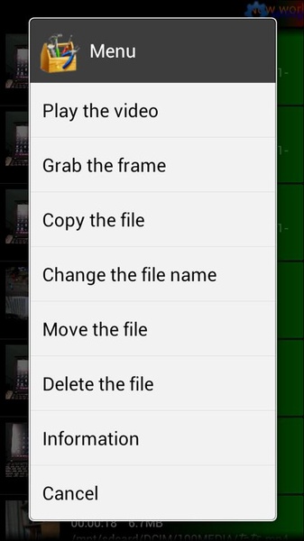 Movie Frame Grabber - Preview 7