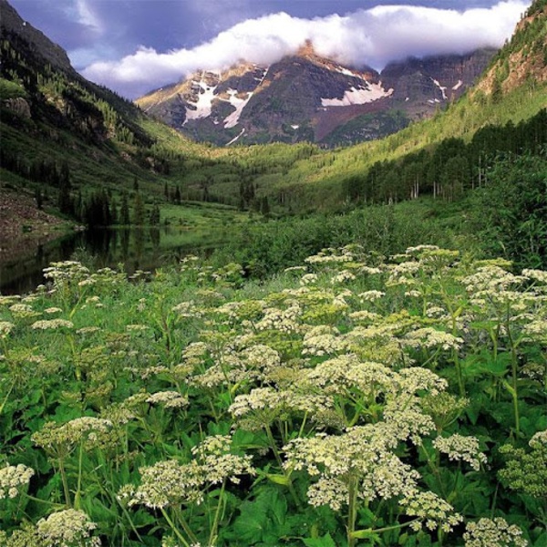 Nature Jigsaw Puzzles - Preview 6