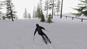 Alpine Ski III screenshot 7
