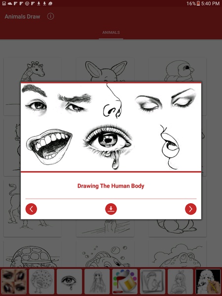 Animals Draw - Preview 15