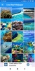 Coral Reef HD Wallpapers screenshot 4