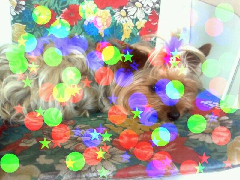 PhotoDream - Preview 3