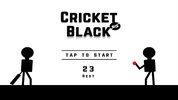 Blind Cricket Black screenshot 1