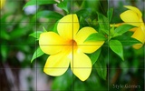 Wonderful Flowers Puzzle screenshot 6