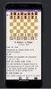 Bitelchess screenshot 2