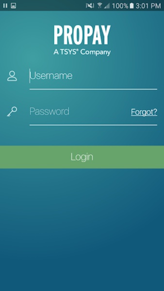 Payments - Preview 7
