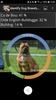 Identify Dog Breeds Pro screenshot 2