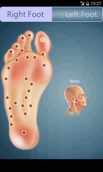 Reflexology - Preview 5