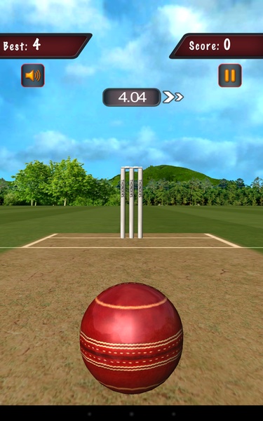 Flick Cricket 3D - Preview 2
