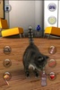 Talking Cat Funny screenshot 1
