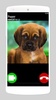 Puppy Fake Video Call Game screenshot 3