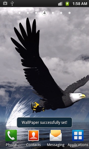 Birds Wallpapers HD - Preview 1