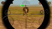 Wild Safari Hunt screenshot 3