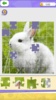 Jigsaw Puzzle - Brain Puzzles screenshot 5