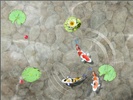 Feed the Koi fish Kids Game screenshot 4