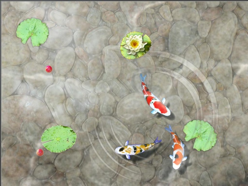 Feed the Koi fish Kids Game - Preview 4