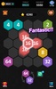 Merge puzzle-Hexa screenshot 17