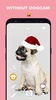 DogCam - Dog Selfie Filters an screenshot 8
