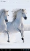 Horses in winter screenshot 7