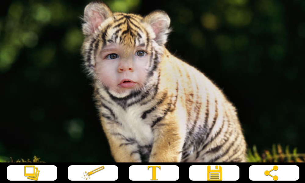 Tiger Photo Frames - Preview 2
