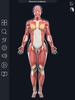 My Muscle Anatomy screenshot 7