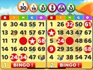 Bingo Live Games screenshot 6