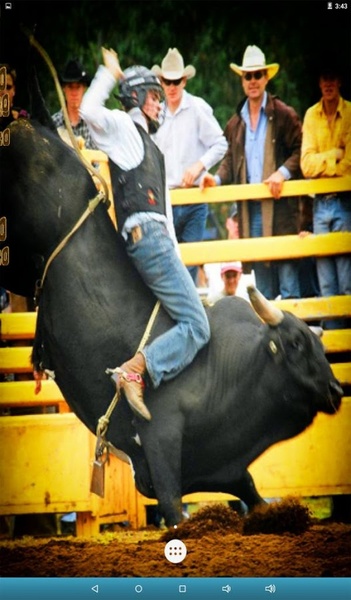Bull Rodeo Live Wallpaper - Preview 2