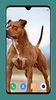 Pitbull Dog Wallpaper 4K screenshot 12