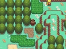 Pokemon Africanus screenshot 5