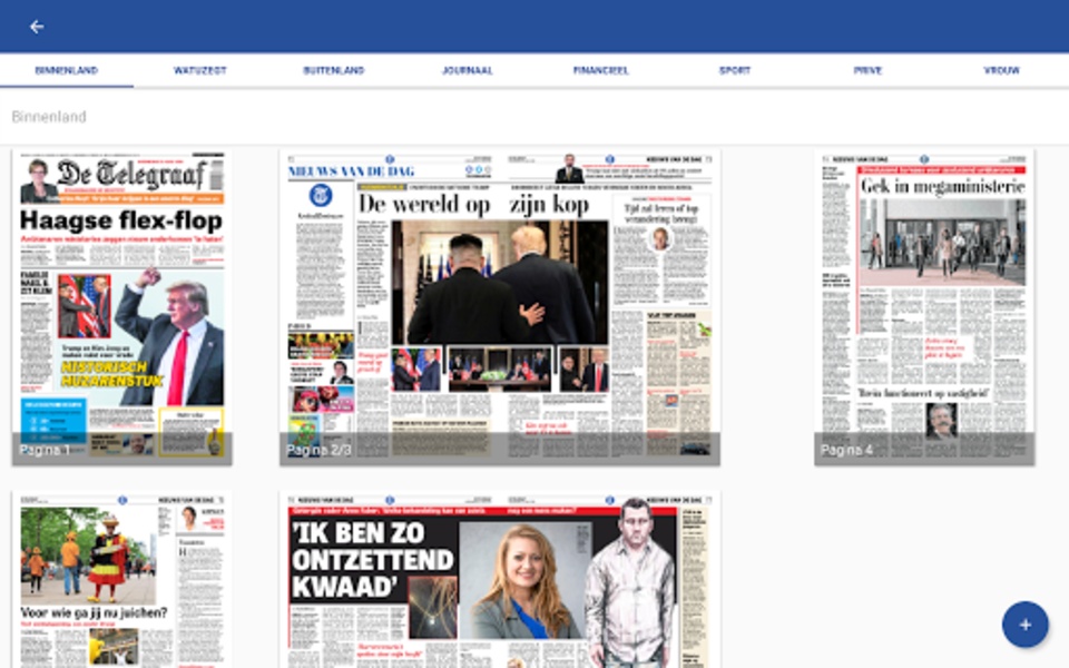 De Telegraaf Krant - Preview 1
