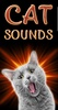 Cat Sounds screenshot 11