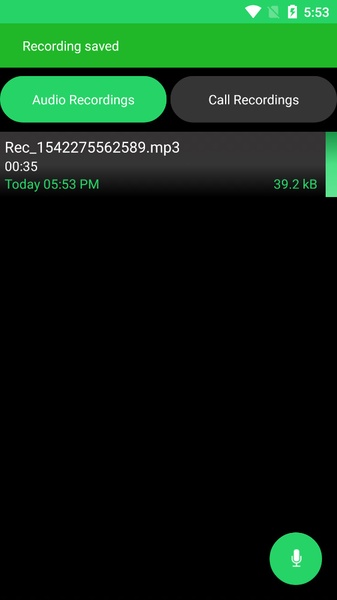 Hidden Voice Recorder - Preview 5