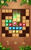 Wooden Puzzle: Block Adventure screenshot 15