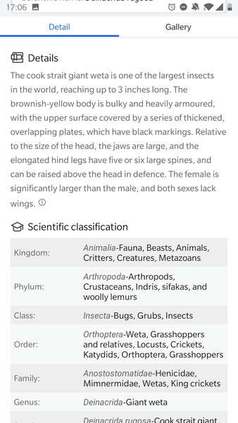 Picture Insect - Insect Id Pro - Preview 6