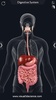 Digestive System Anatomy screenshot 15