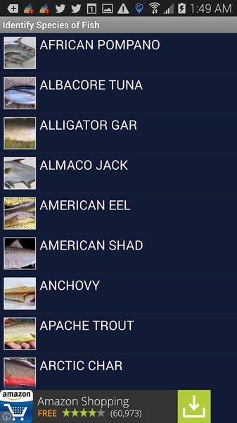 Fishing Status - Preview 1