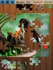 Birds Jigsaw Puzzles Game screenshot 10