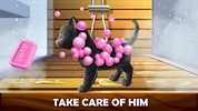 Daily Kitten : virtual cat pet screenshot 5